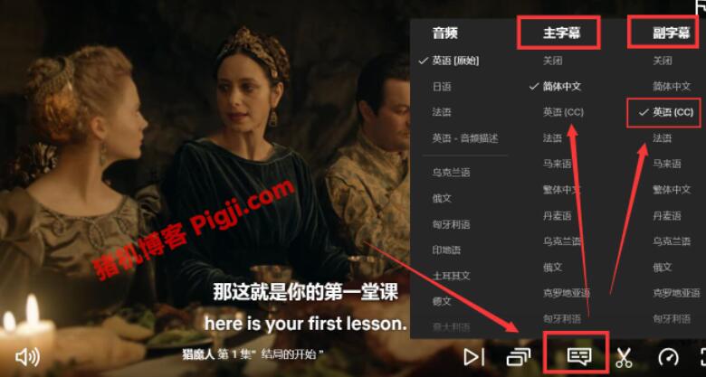 Netflix设置中文字幕