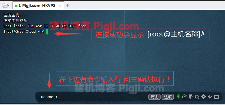 FinalShell Custom Theme Color Schemes and User Interface